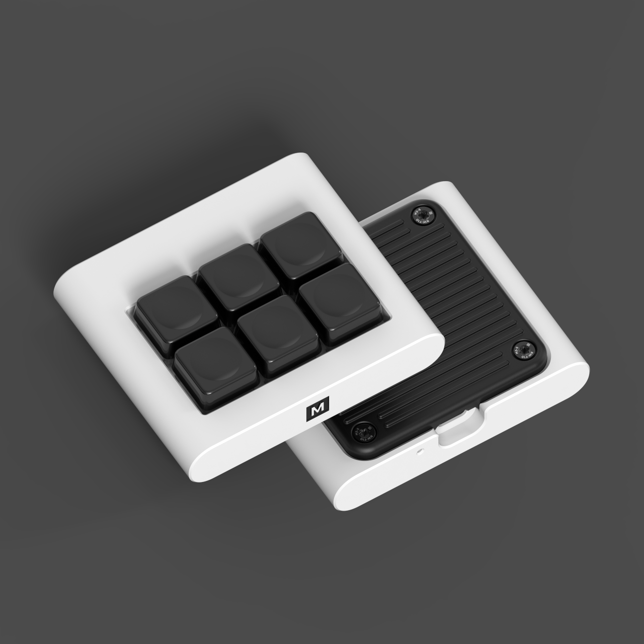 Monochrome + RAMA